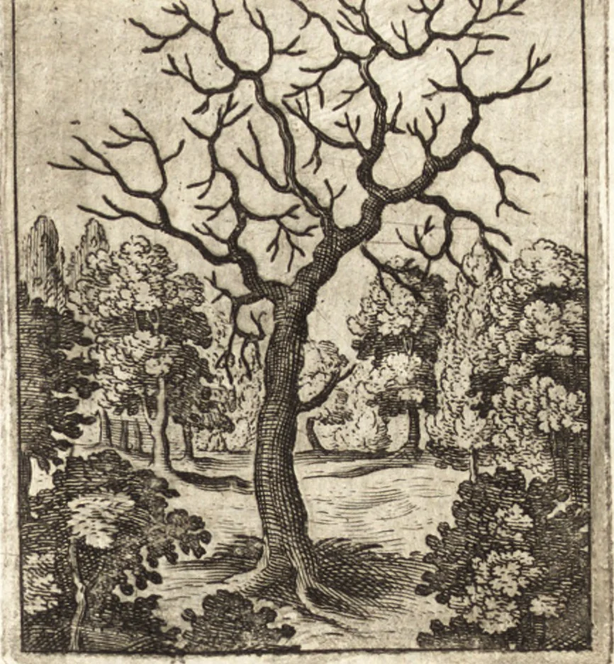 An illustration from Aegidii Albertini Hirnschleiffer, 1645, leaf 320