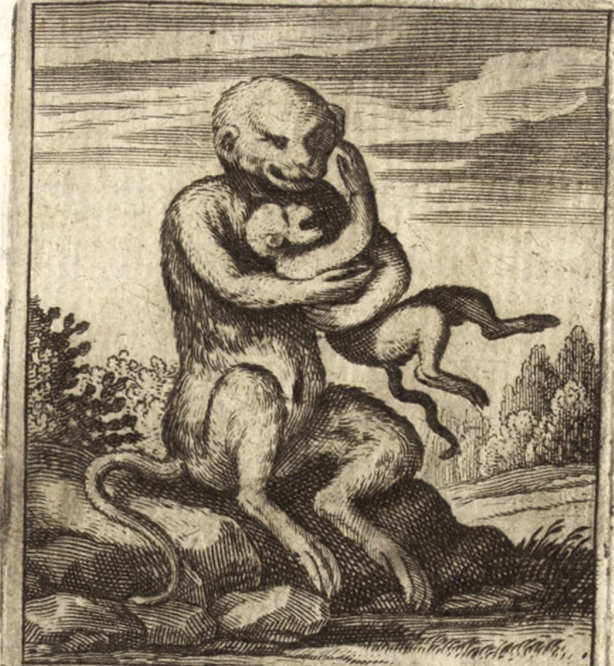 An illustration from Aegidii Albertini Hirnschleiffer, 1645, leaf 374