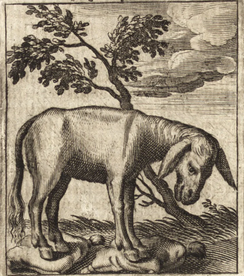 An illustration from Aegidii Albertini Hirnschleiffer, 1645, leaf 439