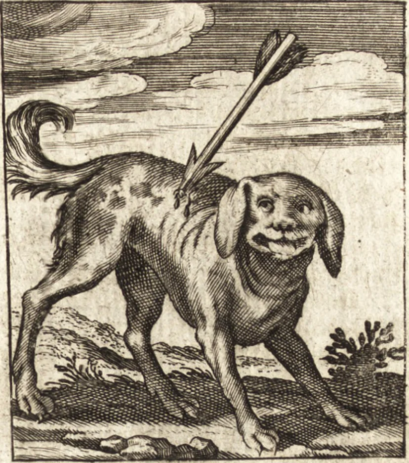 An illustration from Aegidii Albertini Hirnschleiffer, 1645, leaf 484