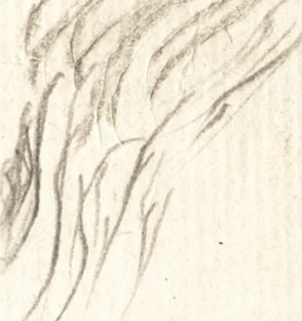An illustration from Aegidii Albertini Hirnschleiffer, 1645, leaf 528