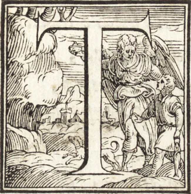 An illustration from Alcvne composizioni di diversi avtori in lode del ritratto della Sabina. Scolpito in marmo dall'eccellentissimo m. Giouanni Bologna, posto nella piazza del serenissimo gran duca di Toscana, 1583, leaf 16