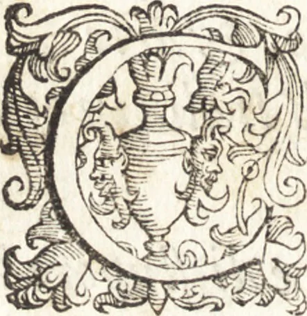 An illustration from Alcvne composizioni di diversi avtori in lode del ritratto della Sabina. Scolpito in marmo dall'eccellentissimo m. Giouanni Bologna, posto nella piazza del serenissimo gran duca di Toscana, 1583, leaf 21