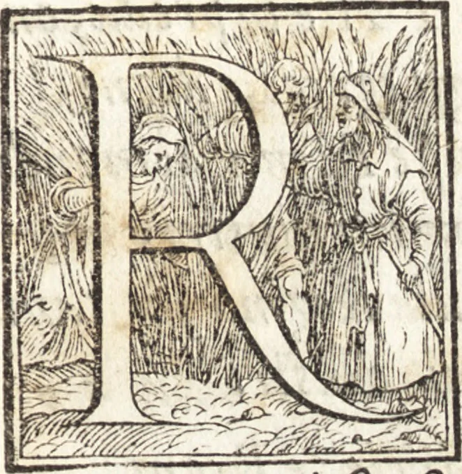 An illustration from Alcvne composizioni di diversi avtori in lode del ritratto della Sabina. Scolpito in marmo dall'eccellentissimo m. Giouanni Bologna, posto nella piazza del serenissimo gran duca di Toscana, 1583, leaf 22
