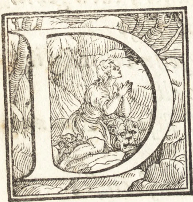 An illustration from Alcvne composizioni di diversi avtori in lode del ritratto della Sabina. Scolpito in marmo dall'eccellentissimo m. Giouanni Bologna, posto nella piazza del serenissimo gran duca di Toscana, 1583, leaf 25