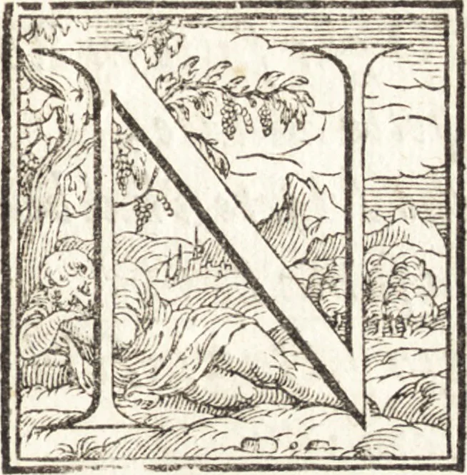 An illustration from Alcvne composizioni di diversi avtori in lode del ritratto della Sabina. Scolpito in marmo dall'eccellentissimo m. Giouanni Bologna, posto nella piazza del serenissimo gran duca di Toscana, 1583, leaf 28