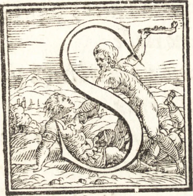 An illustration from Alcvne composizioni di diversi avtori in lode del ritratto della Sabina. Scolpito in marmo dall'eccellentissimo m. Giouanni Bologna, posto nella piazza del serenissimo gran duca di Toscana, 1583, leaf 29
