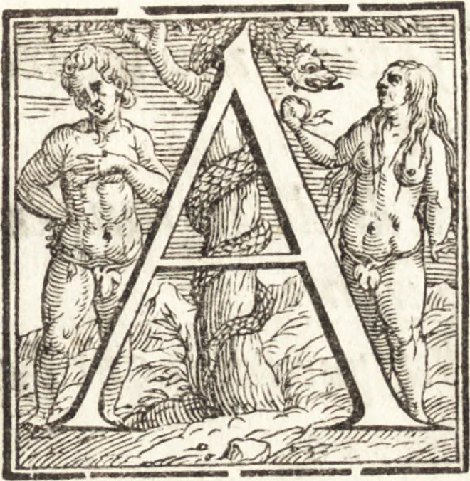 An illustration from Alcvne composizioni di diversi avtori in lode del ritratto della Sabina. Scolpito in marmo dall'eccellentissimo m. Giouanni Bologna, posto nella piazza del serenissimo gran duca di Toscana, 1583, leaf 30