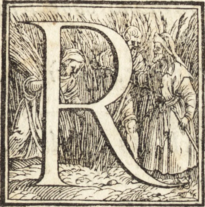 An illustration from Alcvne composizioni di diversi avtori in lode del ritratto della Sabina. Scolpito in marmo dall'eccellentissimo m. Giouanni Bologna, posto nella piazza del serenissimo gran duca di Toscana, 1583, leaf 34