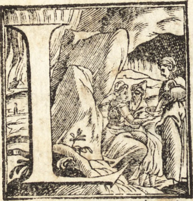 An illustration from Alcvne composizioni di diversi avtori in lode del ritratto della Sabina. Scolpito in marmo dall'eccellentissimo m. Giouanni Bologna, posto nella piazza del serenissimo gran duca di Toscana, 1583, leaf 35