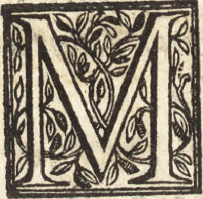 An illustration from Alcvne composizioni di diversi avtori in lode del ritratto della Sabina. Scolpito in marmo dall'eccellentissimo m. Giouanni Bologna, posto nella piazza del serenissimo gran duca di Toscana, 1583, leaf 37