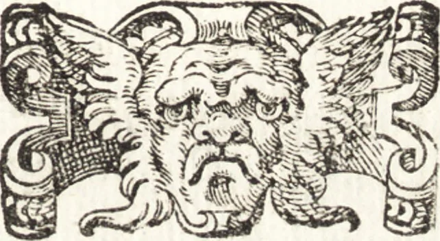 An illustration from Alcvne composizioni di diversi avtori in lode del ritratto della Sabina. Scolpito in marmo dall'eccellentissimo m. Giouanni Bologna, posto nella piazza del serenissimo gran duca di Toscana, 1583, leaf 60