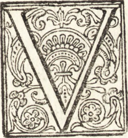 An illustration from Alcvne composizioni di diversi avtori in lode del ritratto della Sabina. Scolpito in marmo dall'eccellentissimo m. Giouanni Bologna, posto nella piazza del serenissimo gran duca di Toscana, 1583, leaf 62
