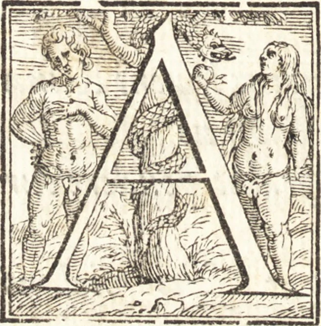 An illustration from Alcvne composizioni di diversi avtori in lode del ritratto della Sabina. Scolpito in marmo dall'eccellentissimo m. Giouanni Bologna, posto nella piazza del serenissimo gran duca di Toscana, 1583, leaf 63