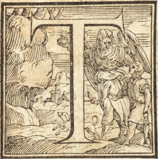 An illustration from Alcvne composizioni di diversi avtori in lode del ritratto della Sabina. Scolpito in marmo dall'eccellentissimo m. Giouanni Bologna, posto nella piazza del serenissimo gran duca di Toscana, 1583, leaf 64