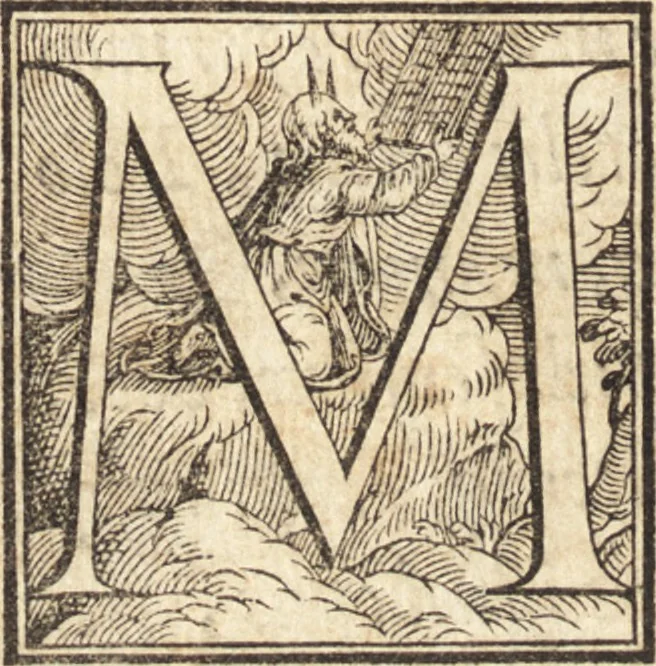 An illustration from Alcvne composizioni di diversi avtori in lode del ritratto della Sabina. Scolpito in marmo dall'eccellentissimo m. Giouanni Bologna, posto nella piazza del serenissimo gran duca di Toscana, 1583, leaf 65