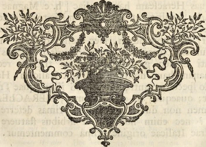 An illustration from Alexii Symmachi Mazochii Neapolit. ecclesiae canonici, regii sacrae scripturae interpretis Commentariorvm in Regii Hercvlanensis Mvsei aeneas Tabvlas heracleenses pars I[-II] .., 1754, leaf 84