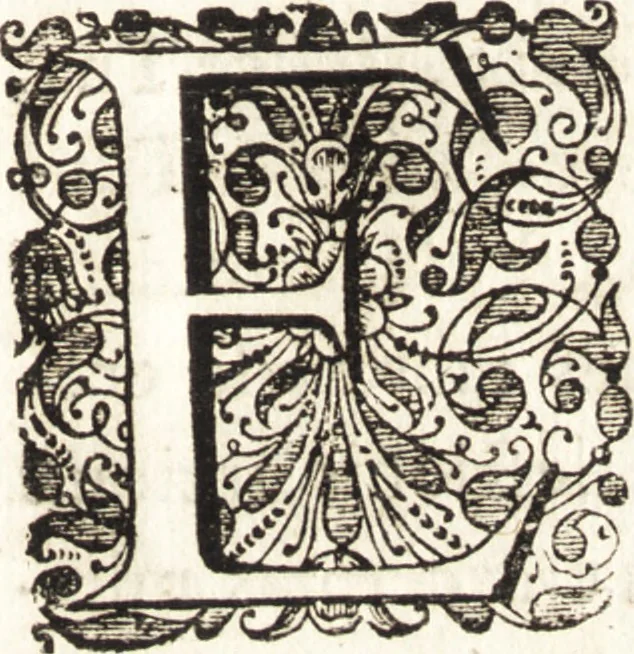 An illustration from Ammiani Marcellini Rerum gestarum qui de XXXI supersunt, libri XVIII, 1693, leaf 10