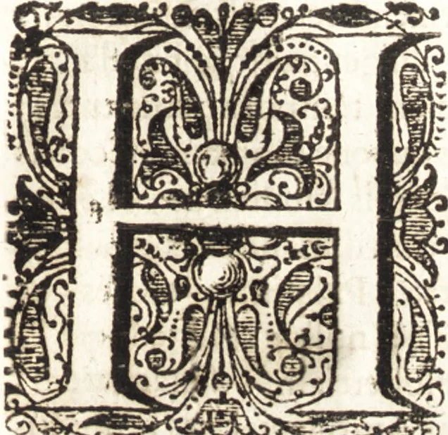 An illustration from Ammiani Marcellini Rerum gestarum qui de XXXI supersunt, libri XVIII, 1693, leaf 48