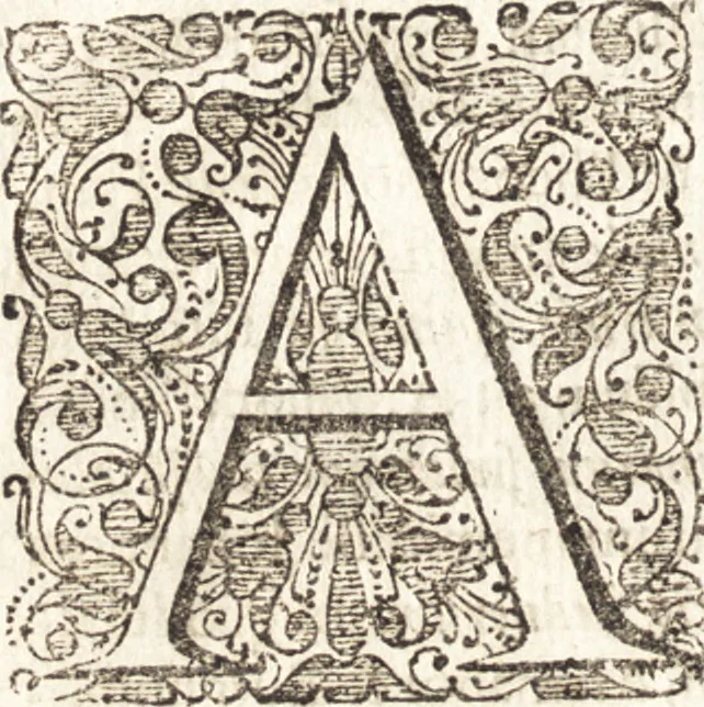 An illustration from Ammiani Marcellini Rerum gestarum qui de XXXI supersunt, libri XVIII, 1693, leaf 65