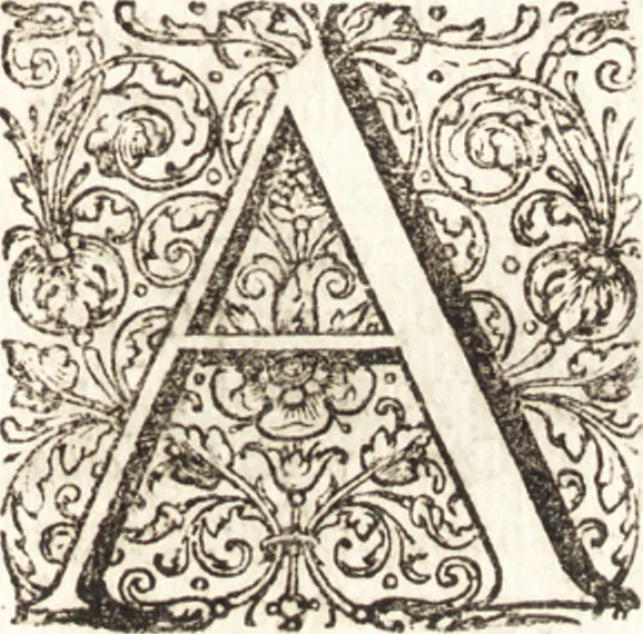 An illustration from Ammiani Marcellini Rerum gestarum qui de XXXI supersunt, libri XVIII, 1693, leaf 68