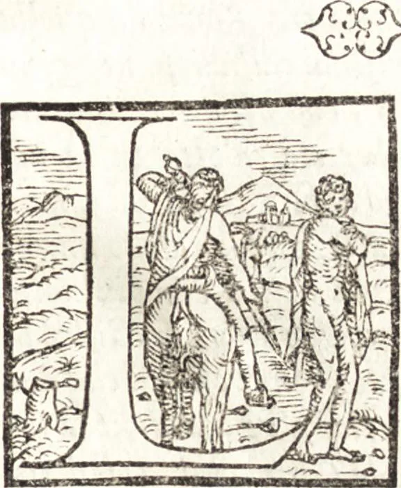 An illustration from Le antichità della città di Roma : breuissimamente raccolte da chiunque hà scritto, ò antico, ò moderno, 1562, leaf 28