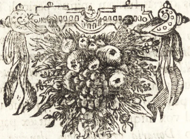An illustration from Antonii van Dale M.D. De oraculis ethnicorum dissertationes duae : quarum prior de ipsorum duratione ac defectu, posterior de eorundem auctoribus : accedit et schediasma de consecrationibus ethnicis, 1683, leaf 29