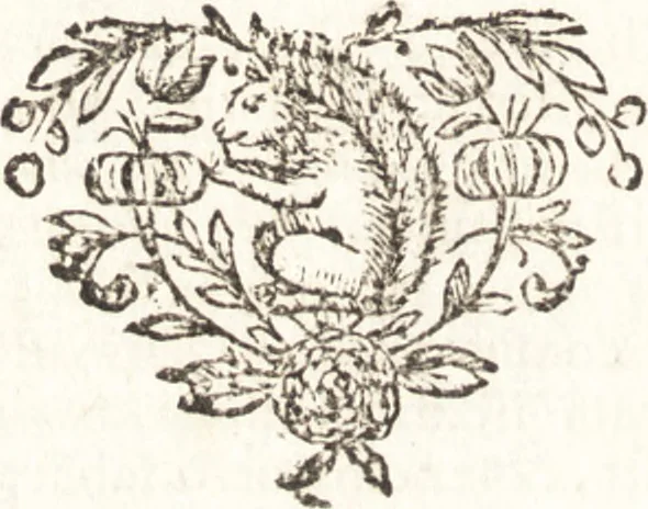 An illustration from Antonii van Dale M.D. De oraculis ethnicorum dissertationes duae : quarum prior de ipsorum duratione ac defectu, posterior de eorundem auctoribus : accedit et schediasma de consecrationibus ethnicis, 1683, leaf 511
