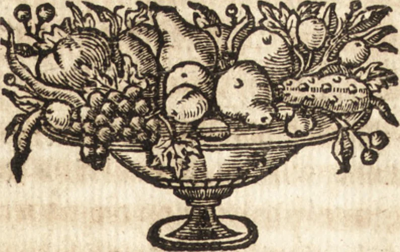 An illustration from Apostolicarum Pii Quinti Pont. Max. Epistolarum libri quinque, 1640, leaf 462