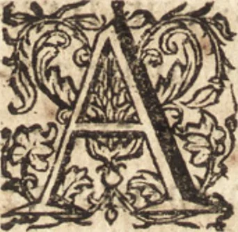 An illustration from Apostolicarum Pii Quinti Pont. Max. Epistolarum libri quinque, 1640, leaf 463