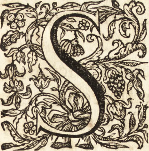 An illustration from Apostolicarum Pii Quinti Pont. Max. Epistolarum libri quinque, 1640, leaf 6