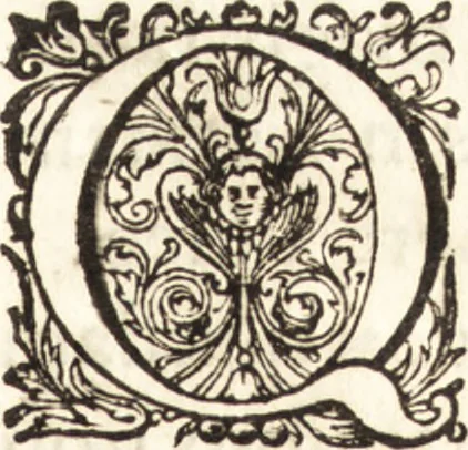An illustration from Arcana naturae detecta, 1695, leaf 10