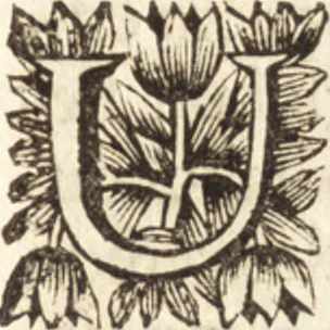An illustration from Arcana naturae detecta, 1695, leaf 16
