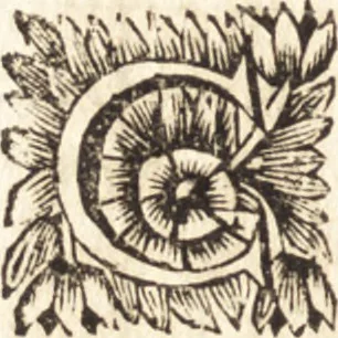 An illustration from Arcana naturae detecta, 1695, leaf 169