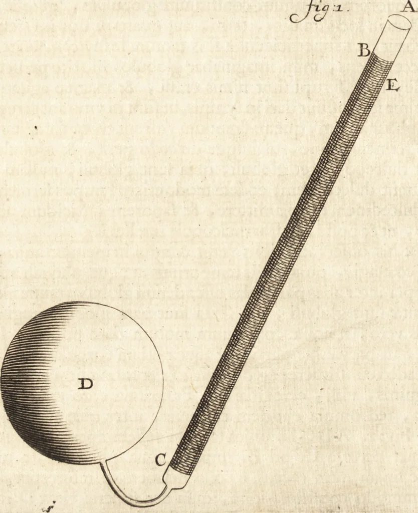 An illustration from Arcana naturae detecta, 1695, leaf 25