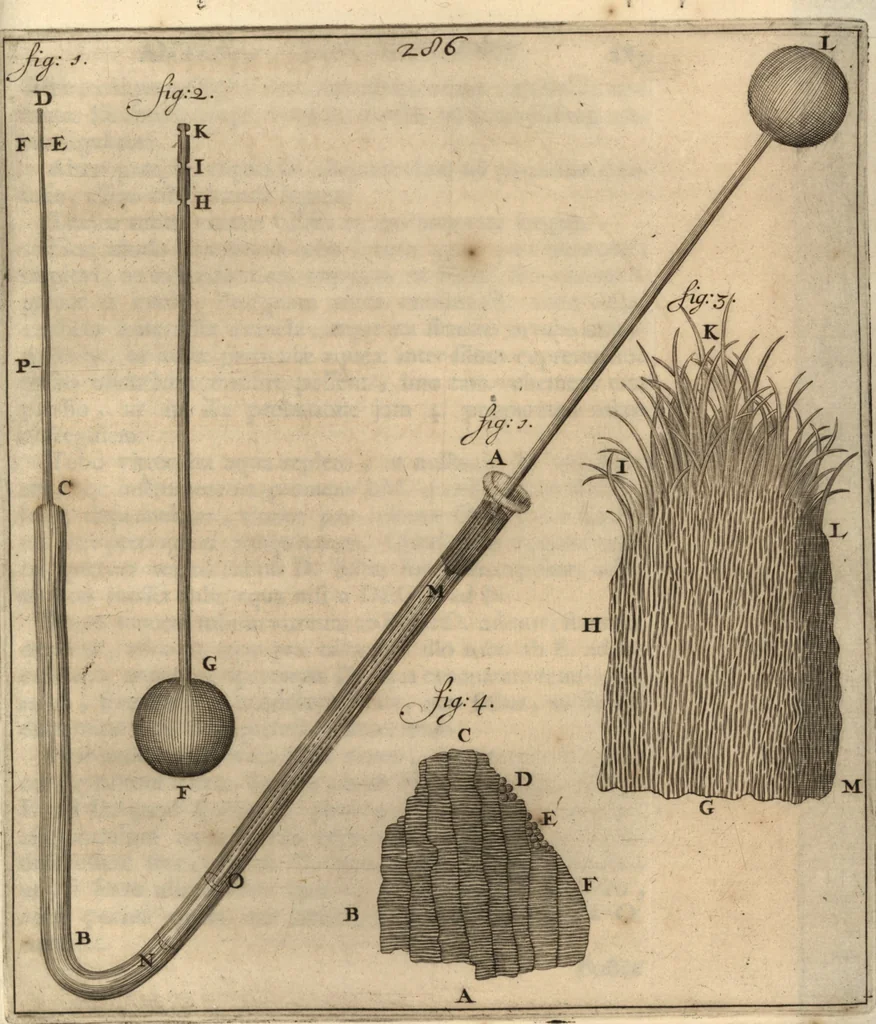 An illustration from Arcana naturae detecta, 1695, leaf 326