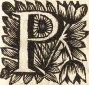 An illustration from Arcana naturae detecta, 1695, leaf 340