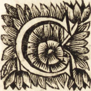 An illustration from Arcana naturae detecta, 1695, leaf 356