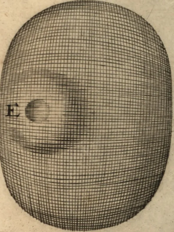 An illustration from Arcana naturae detecta, 1695, leaf 382
