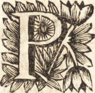 An illustration from Arcana naturae detecta, 1695, leaf 451