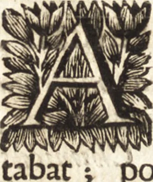 An illustration from Arcana naturae detecta, 1695, leaf 461