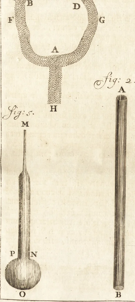 An illustration from Arcana naturae detecta, 1695, leaf 467