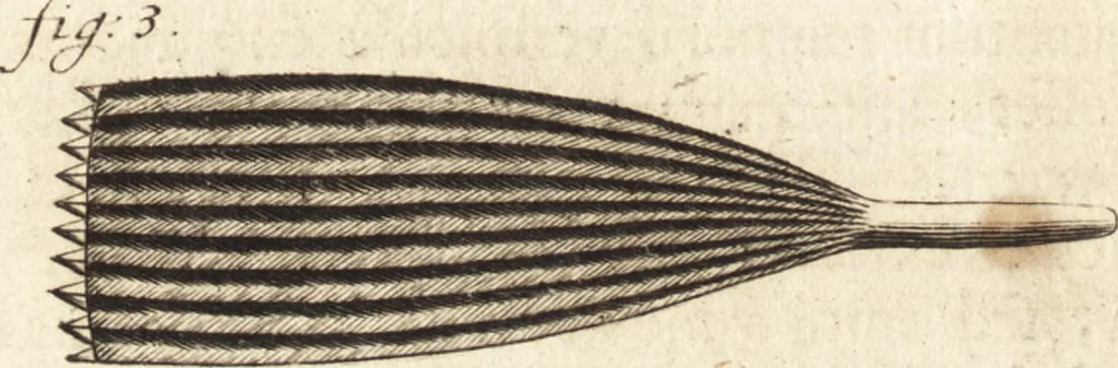 An illustration from Arcana naturae detecta, 1695, leaf 53