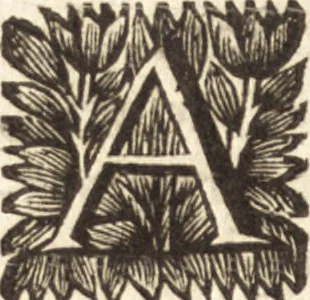 An illustration from Arcana naturae detecta, 1695, leaf 59