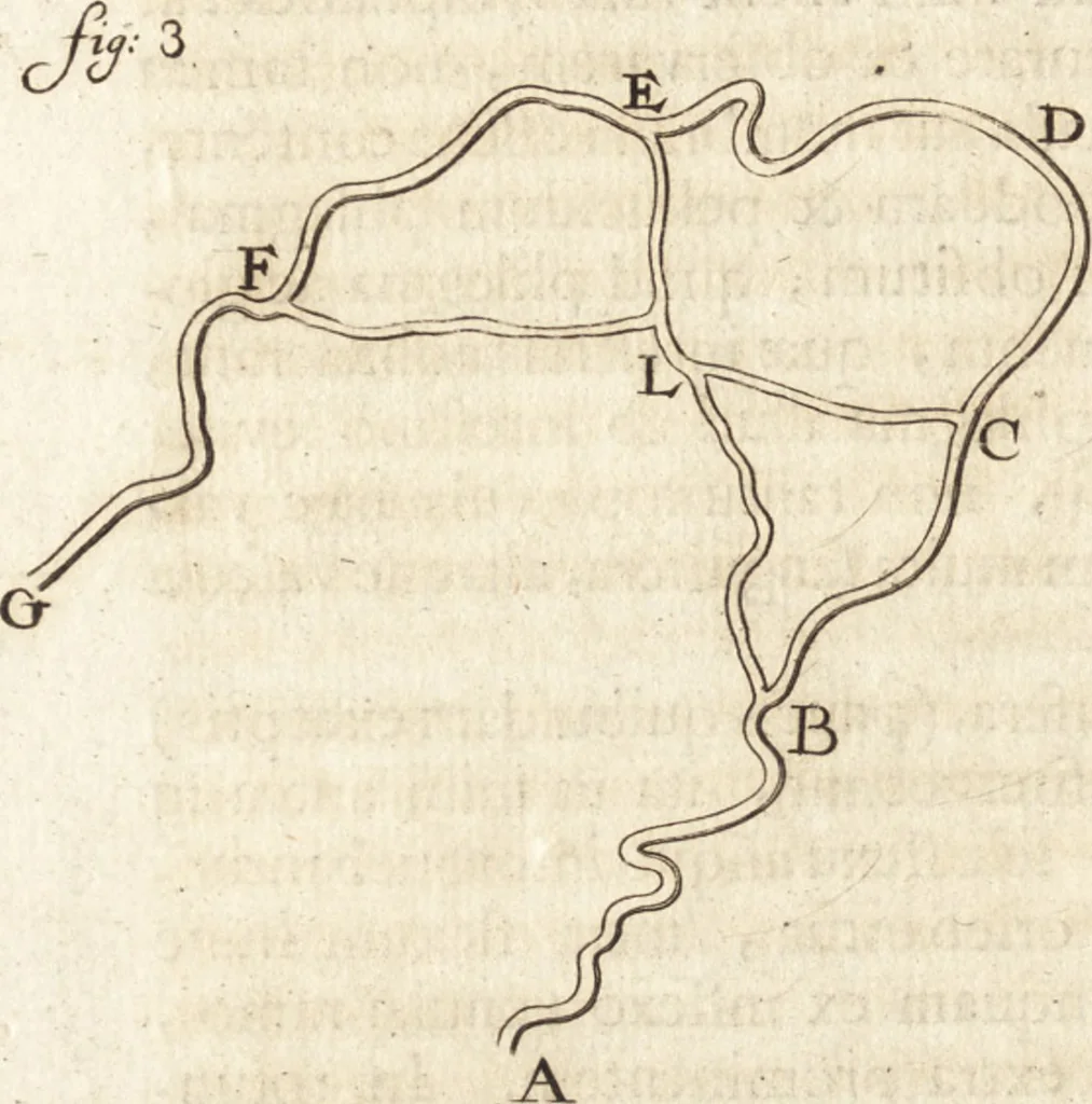 An illustration from Arcana naturae detecta, 1695, leaf 77