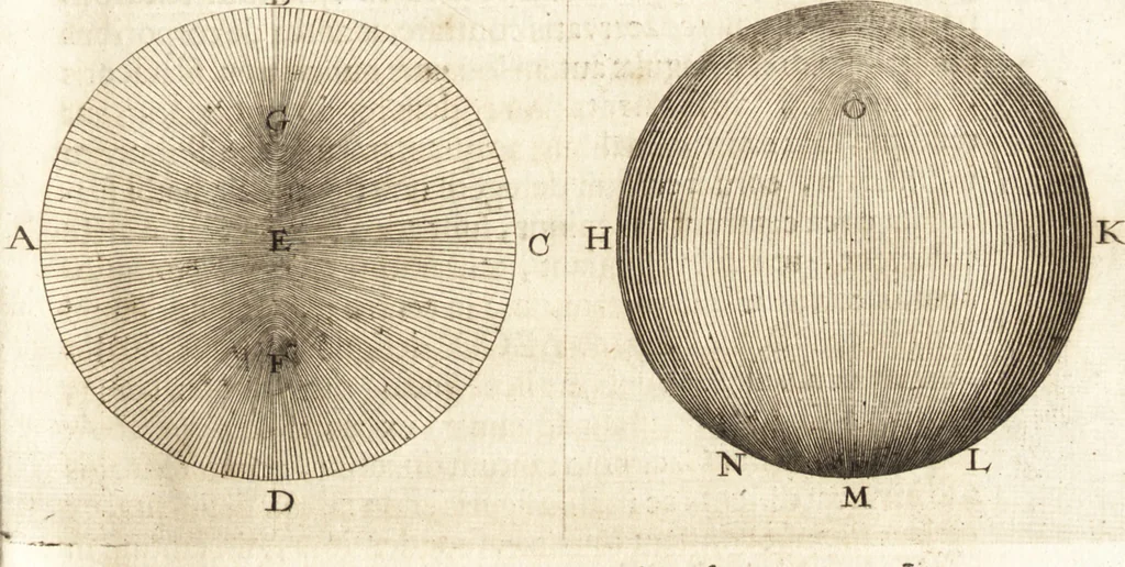 An illustration from Arcana naturae detecta, 1695, leaf 94