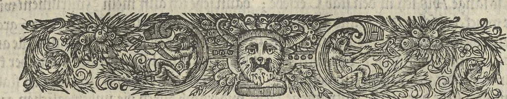 An illustration from Architectura militaris nova et aucta, oder, Newe vermehrte Fortification von regular Vestungen, von irregular Vestungen vnd Aussen wercken, von Praxi offensiva vnd defensiva : auff die neweste Niederländische Praxin gerichtet vnd beschrieben, 1665, leaf 126