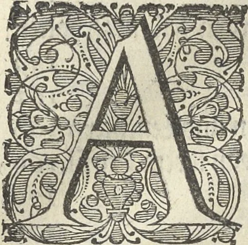 An illustration from Architectura militaris nova et aucta, oder, Newe vermehrte Fortification von regular Vestungen, von irregular Vestungen vnd Aussen wercken, von Praxi offensiva vnd defensiva : auff die neweste Niederländische Praxin gerichtet vnd beschrieben, 1665, leaf 13