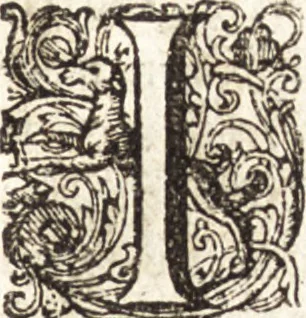 An illustration from d' Argenis van J. Barklai : daar in niet alleenlijk veel vreemde voorvallen van gebeurlijke dingen, maar bezonderlijk vortreffelijke zaken, die de godsdienst, de bestiering van staten, beleit van oorlogen, en de burgerlijke handel aangaan, vertoont worden : beneffens de sleutel en aanwijzing van de namen der personen, die men daar by verstaan kan, 1680, leaf 10