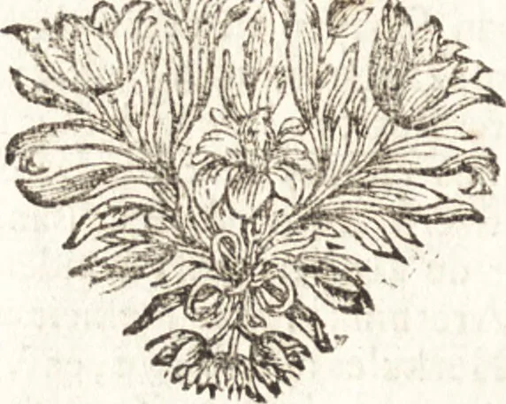 An illustration from d' Argenis van J. Barklai : daar in niet alleenlijk veel vreemde voorvallen van gebeurlijke dingen, maar bezonderlijk vortreffelijke zaken, die de godsdienst, de bestiering van staten, beleit van oorlogen, en de burgerlijke handel aangaan, vertoont worden : beneffens de sleutel en aanwijzing van de namen der personen, die men daar by verstaan kan, 1680, leaf 327